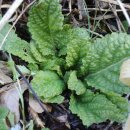 봉화산농장 이미지