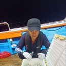 영운낚시 Daum카페