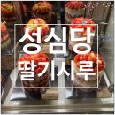 블루쇼콜라 | 대전 성심당 딸기시루, 토요빵, 오징어먹물방망이, 블루쇼콜라 등 후기