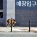 소담동 한국개발연구원 앞 이미지