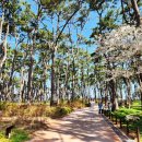 송림공원 건너 이미지