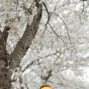 괴산설악추어탕 이미지