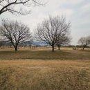 GS25김해대동점 | 부산 맥도생태공원에서 주말 자전거 라이딩 시즌ON &amp; 김해 대동 맛집 버드나무집 오리탕 후기