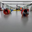짐앤펀유아태권도 이미지