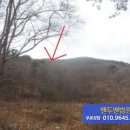 김삿갓면-10 이미지