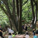 영차영차 이미지