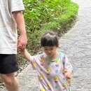 고구려약국 | 36개월 아이랑 나트랑여행-4 / 아미아나 체크아웃, 롯데마트 골든코스트점, 본구스토 수박빙수, 달스파...