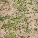 대단해농장 이미지