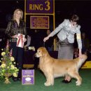 에코 켄넬 이미지