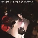 디디그루밍 이미지