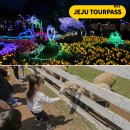 불빛목장 이미지