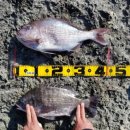 삼백의아침민박 이미지