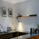 스테이시호일 이미지