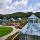 글라스타임 이미지