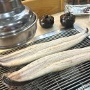 청수한의원 | 광주청수민물장어 장어포장 장어즙 상무지구장어맛집 광주장어맛집 민물장어양식 광주몸보신 임신준비...