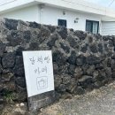 달책빵 | 제주 평대리 북카페 독립서점 달책빵 당근케이크 후기