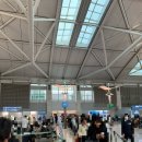 실내길 | 설 연휴 1/25 토요일 인천공항 T1 출국후기 (+혼잡도, 식사 추천)