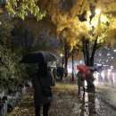 181108 | 181108 찰리 푸스 내한공연 후기