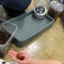 애플팜핑 이미지