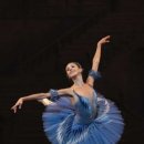 파랑새입시학원 이미지