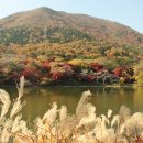 여명로25번길 이미지