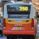 월영동250 이미지