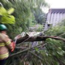 익산장례종합 이미지