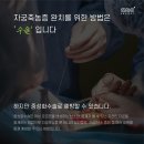 24시SNC동물메디컬센터 네이버블로그