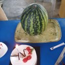 철이네 민박 이미지