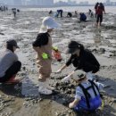 오이도어촌체험휴양마을 이미지