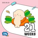 황도민박2 | (~23주) 해먹고 살기^^