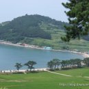 파란민박 이미지