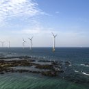 탐라태양광발전소 이미지