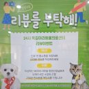 소사프라임동물병원 | 부천동물병원 24시옥길아라동물의료센터 돈많이 강아지 건강검진 후기