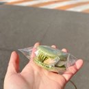 호순네집 | 2026.01.26 - 2026.02.01