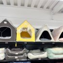 댕굴댕굴 이미지