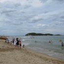 송지호 해수욕장 이미지