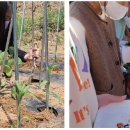 담쟁이농장 이미지