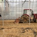 문호농장 이미지