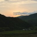 코스타리몬 이미지