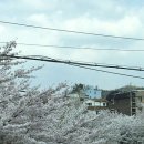 임한준한의원 이미지