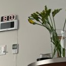 따듯한오후 낮잠소리 | 대전탄방동 치질수술후기 수술당일 실시간 (이일2부)