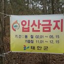 (주)녹색이웃