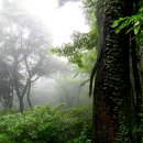 제주시크릿가든 이미지