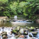 상동읍 대리골 입구(상동읍-20) | 🏕️ 영월 캠핑장 영월 달과별 캠핑장, 캠핏이 골랐어요!