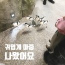 주렁주렁