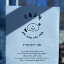 오독오독 반려견유치원 이미지