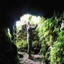 들녘목장 이미지