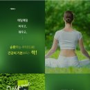 원데이원보틀