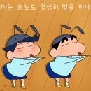 에듀콥